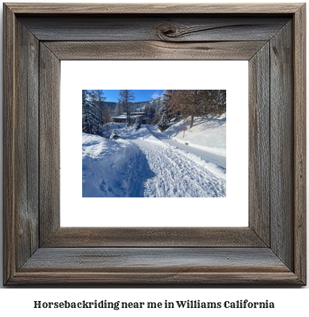 horseback riding near me in Williams, California